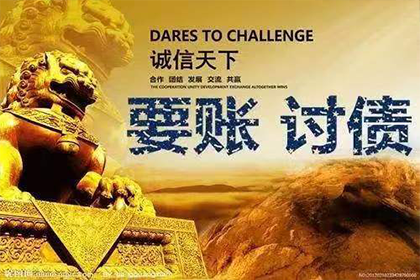 无力偿还债务强制执行应对策略